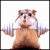 Bandera's Avatar